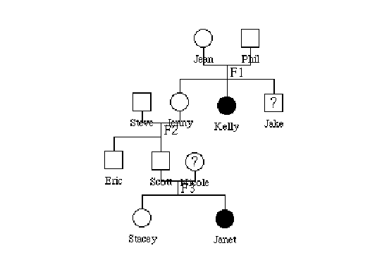 Cystic Fibrosis Pedigree Chart